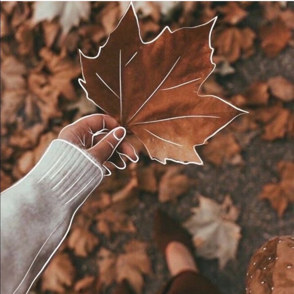 Fall Mystery Bundle of Clothes